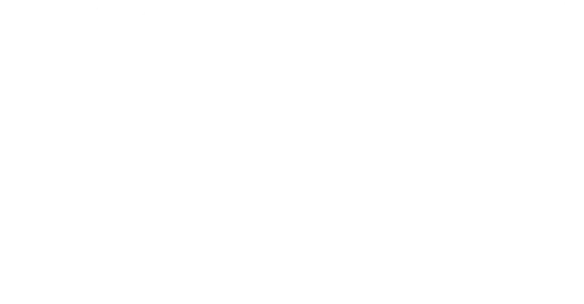 1-Blizzard